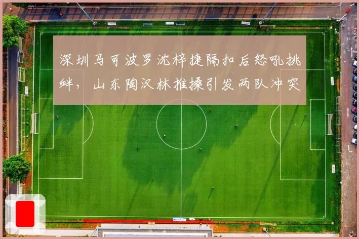 深圳马可波罗沈梓捷隔扣后怒吼挑衅,山东陶汉林推搡引发两队冲突