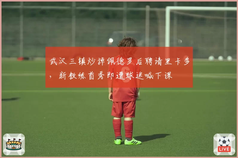 武汉三镇炒掉佩德罗后聘请里卡多,新教练首秀即遭球迷喊下课