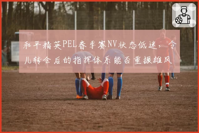 和平精英PEL春季赛NV状态低迷，令儿转会后的指挥体系能否重振雄风？