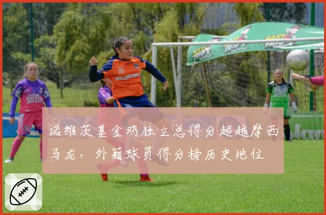诺维茨基金鸡独立总得分超越摩西马龙，外籍球员得分榜历史地位